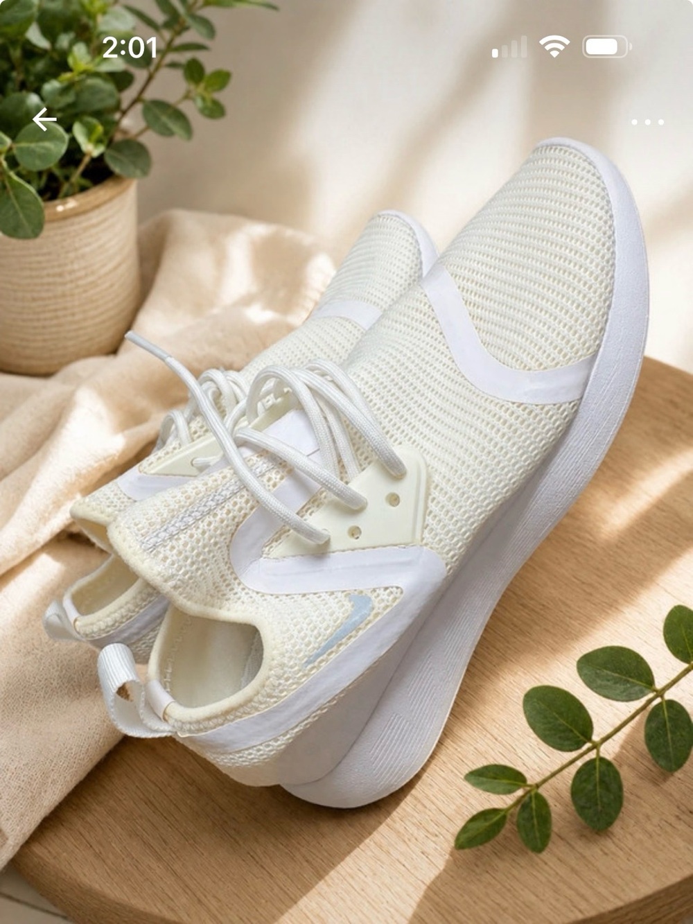 Breathable Women's Knit Lace-Up Sneakers in Cream